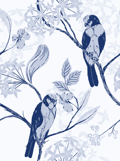 Falcon bird and hoya in blue